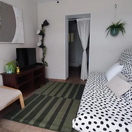 Duplex Apartment
